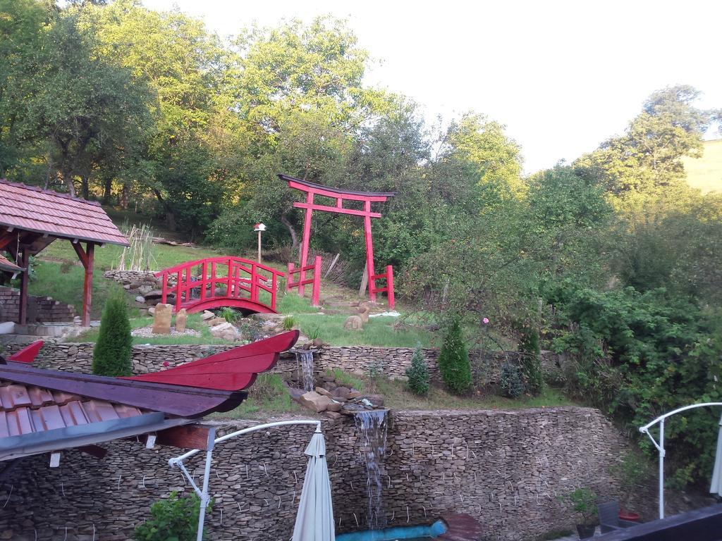 Casa Lily - Japanese Retreat Ξενοδοχείο Σιγκισοάρα Εξωτερικό φωτογραφία